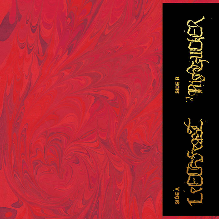 LEECHFEAST / NIGHTFUCKER - SPLIT LP