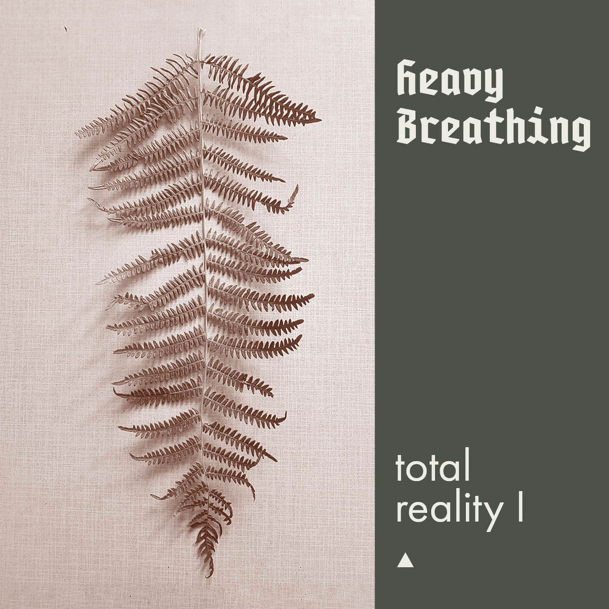 HEAVY BREATHING - TOTAL REALITY TAPE