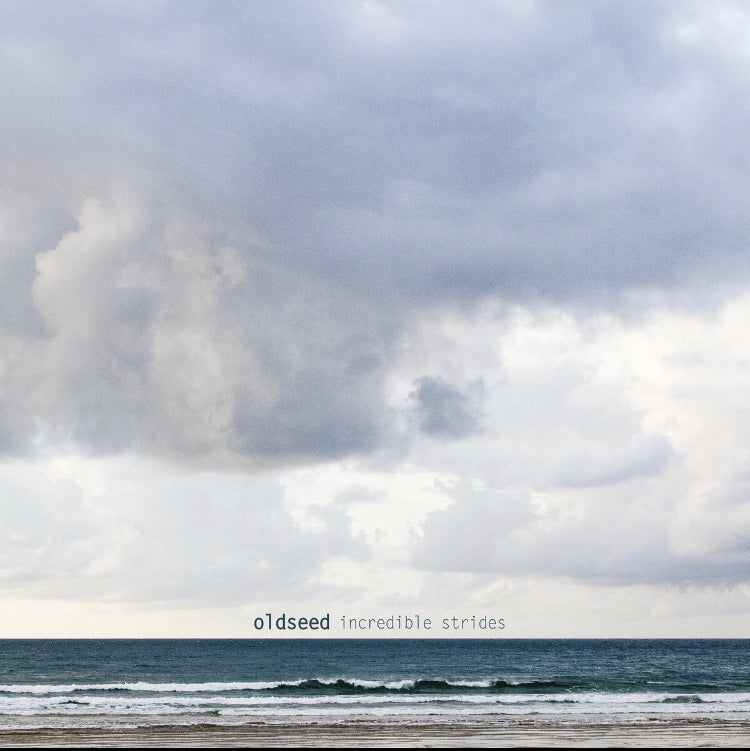 OLDSEED –  INCREDIBLE STRIDES  LP