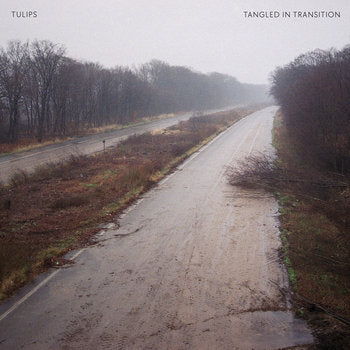 TULIPS – TANGLED IN TRANSITIONS 10“