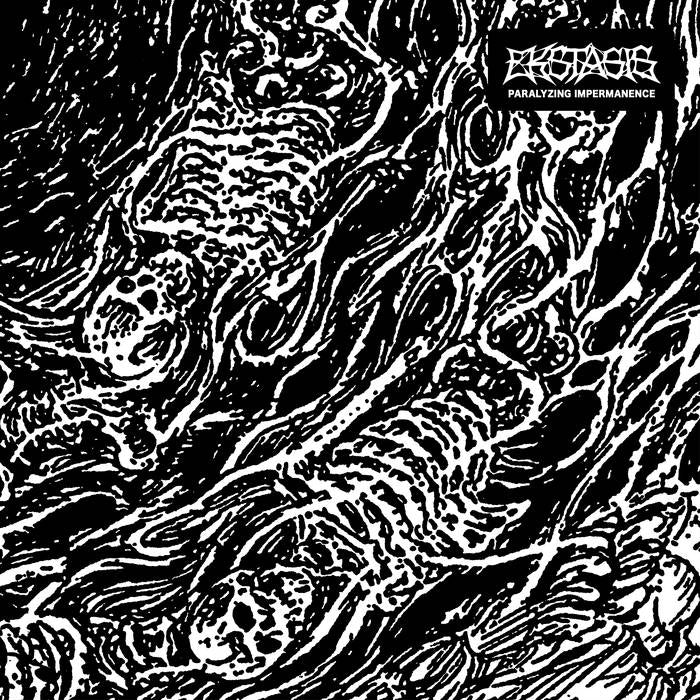 EKSTASIS - PARALYZING IMPERMANENCE LP