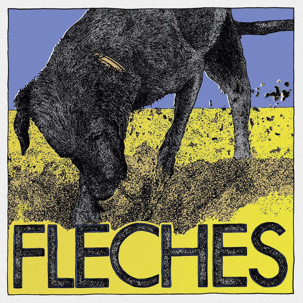 FLECHES - S/T LP