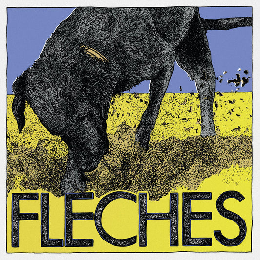 FLECHES - S/T LP