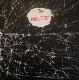 MÜLLTÜTE - 2018 LP